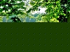 priroda-4-.jpg